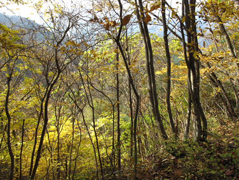 20161117hike (198)